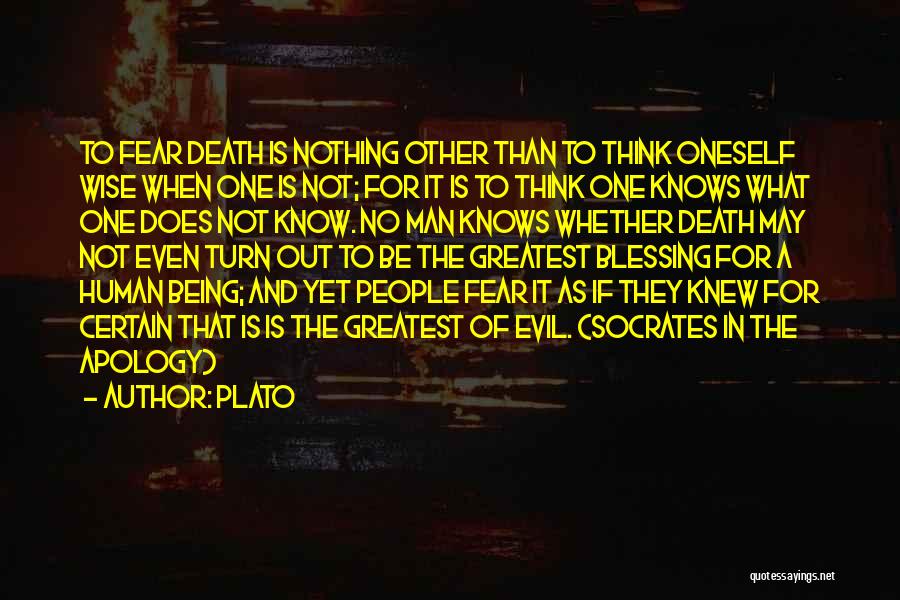 Greatest Blessing Quotes By Plato