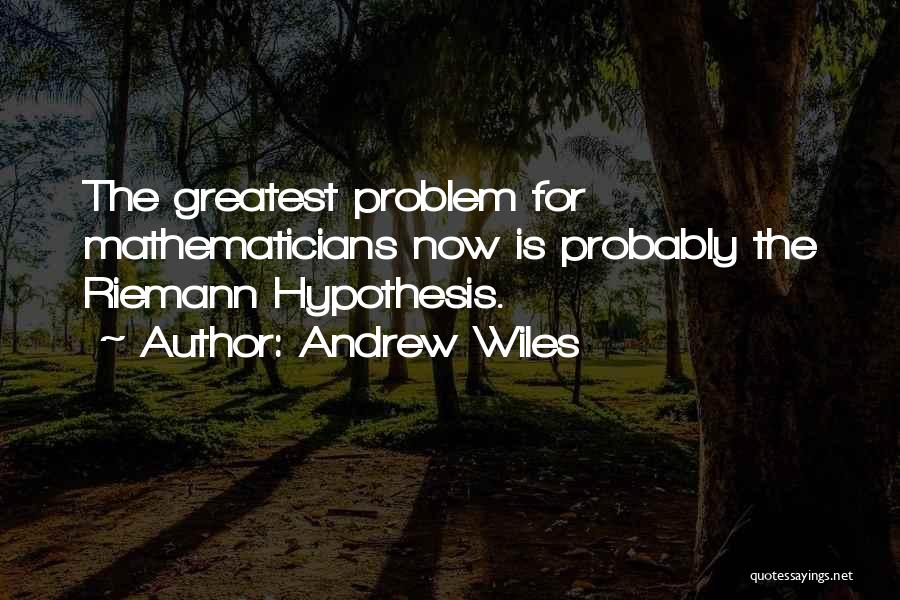 Greatest Mathematicians Quotes By Andrew Wiles