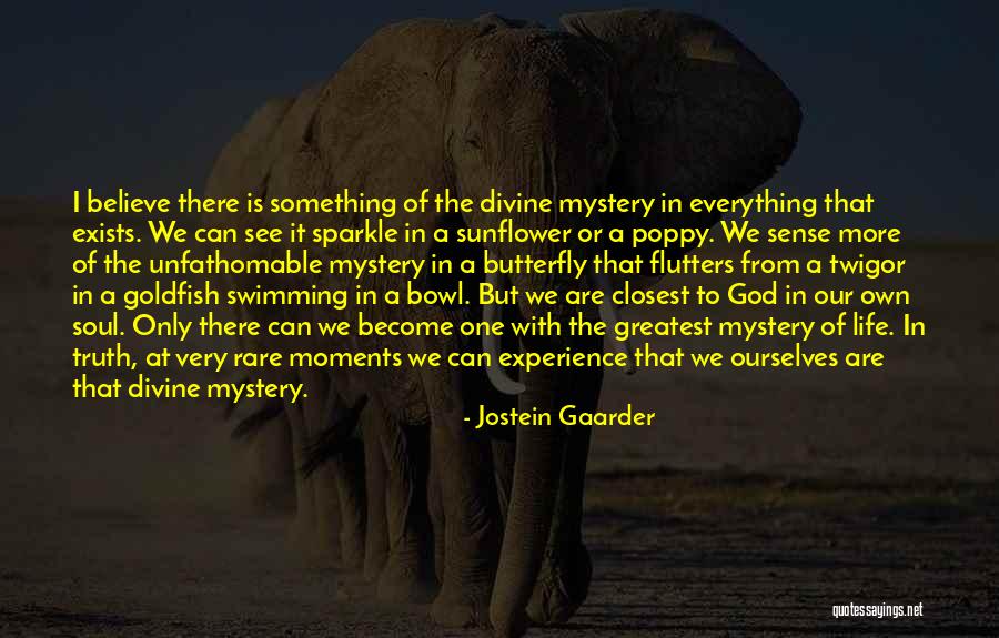 Greatest Moments Quotes By Jostein Gaarder