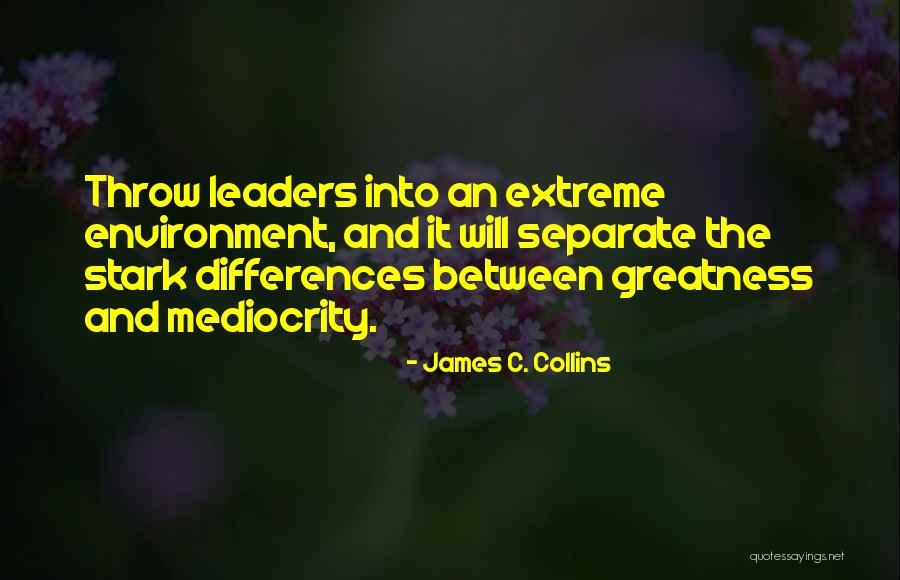 Greatness And Mediocrity Quotes By James C. Collins Greatness And Mediocrity Quotes By James C. Collins