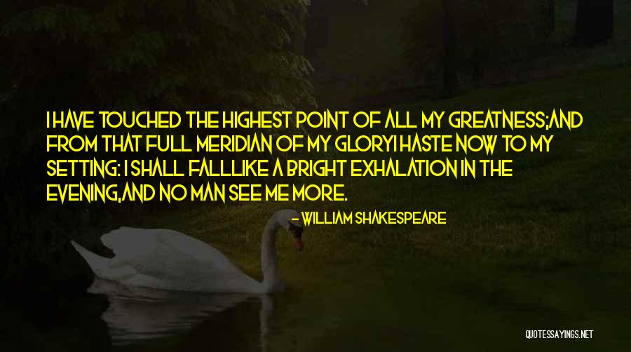 Greatness By William Shakespeare Quotes By William Shakespeare