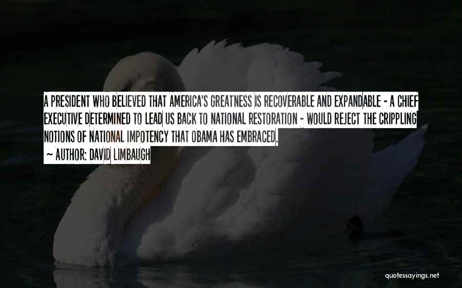 Greatness Of America Quotes By David Limbaugh