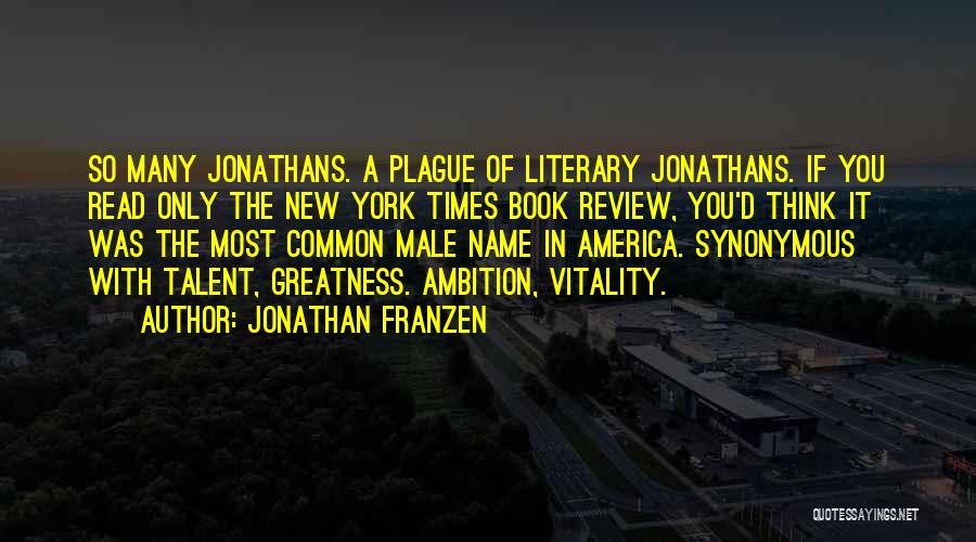 Greatness Of America Quotes By Jonathan Franzen