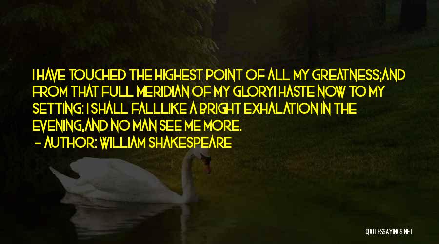 Greatness Shakespeare Quotes By William Shakespeare