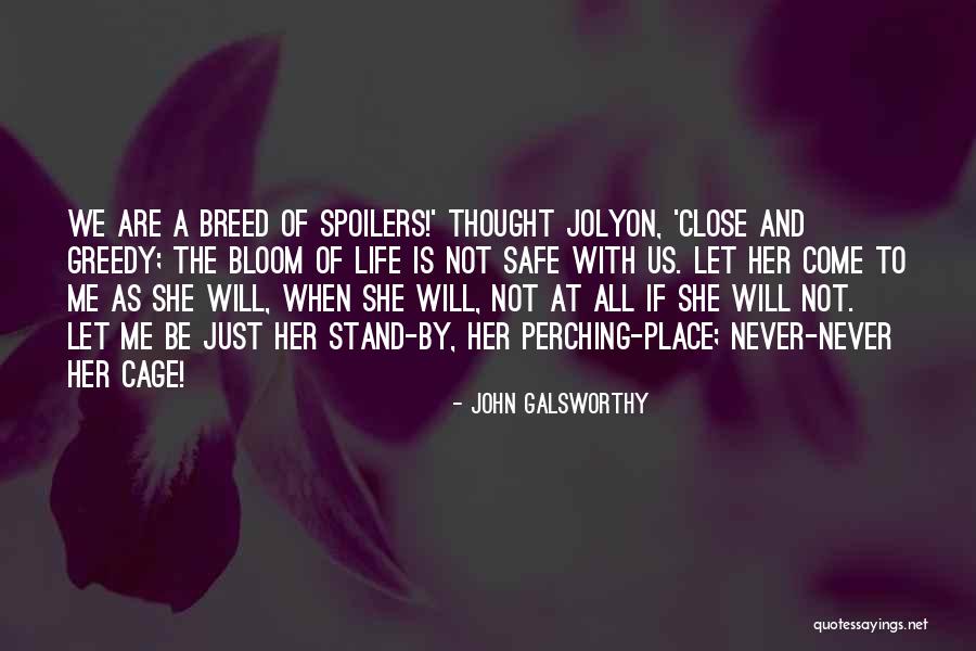 Greedy Quotes By John Galsworthy