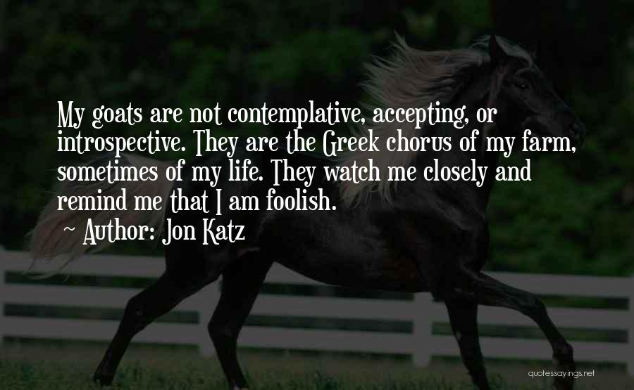 Greek Chorus Quotes By Jon Katz