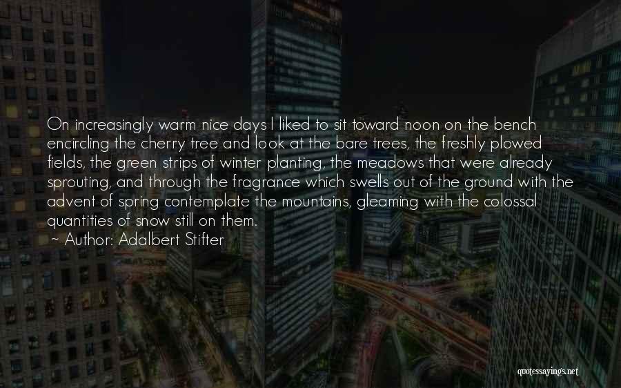 Green And Nature Quotes By Adalbert Stifter