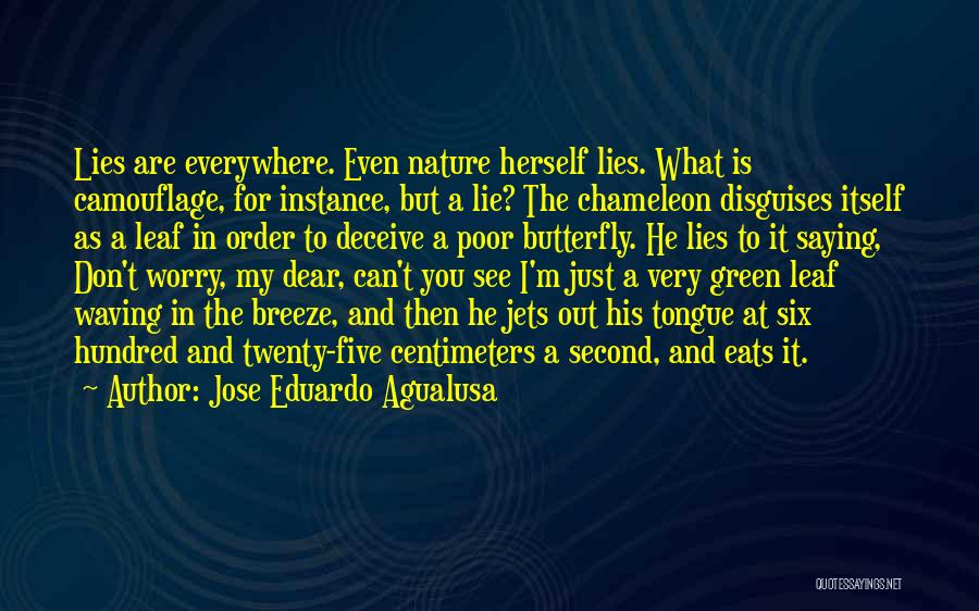 Green And Nature Quotes By Jose Eduardo Agualusa