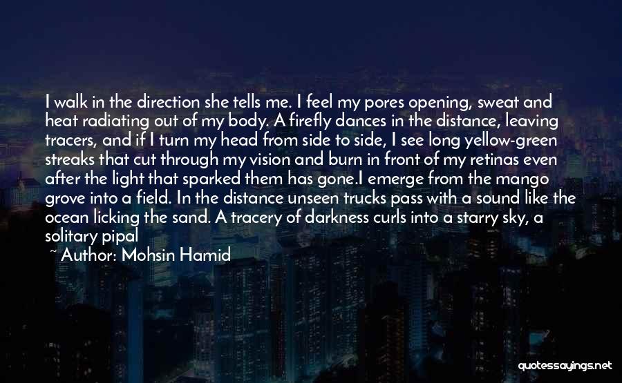 Green And Nature Quotes By Mohsin Hamid