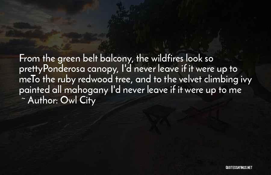 Green Balcony Quotes By Owl City