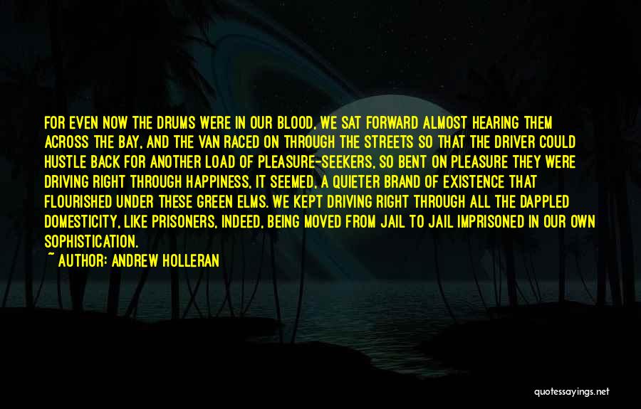 Green Bay Quotes By Andrew Holleran