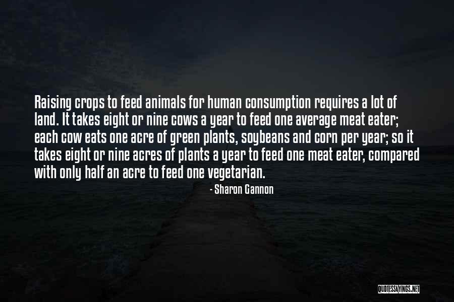 Green Corn Quotes By Sharon Gannon Green Corn Quotes By Sharon Gannon
