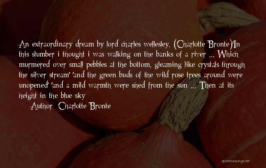 Green Dream Quotes By Charlotte Bronte