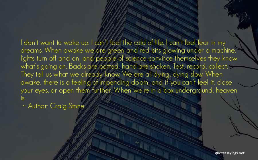 Green Dream Quotes By Craig Stone