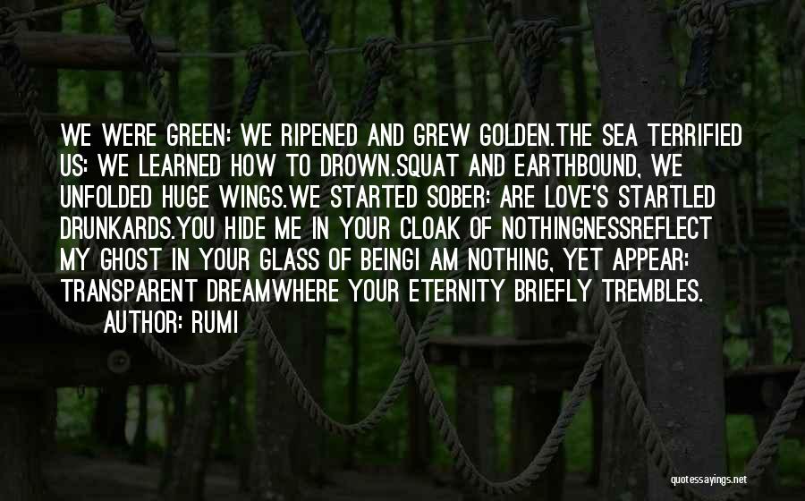 Green Dream Quotes By Rumi