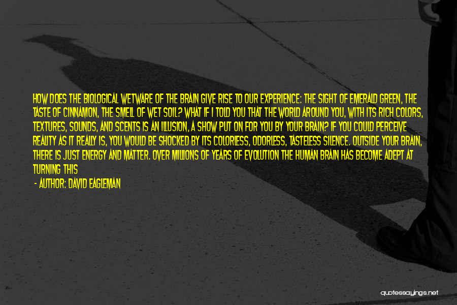 Green Energy Quotes By David Eagleman Green Energy Quotes By David Eagleman