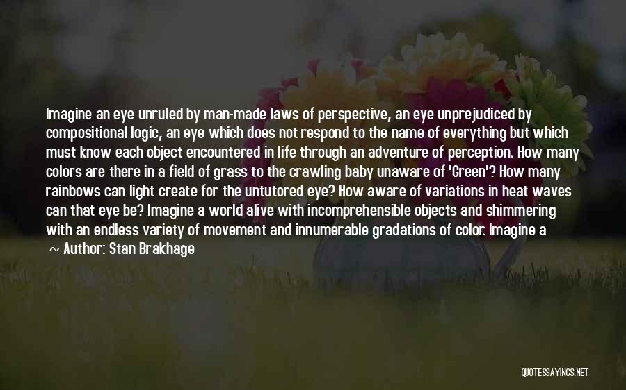 Green Eye Color Quotes By Stan Brakhage