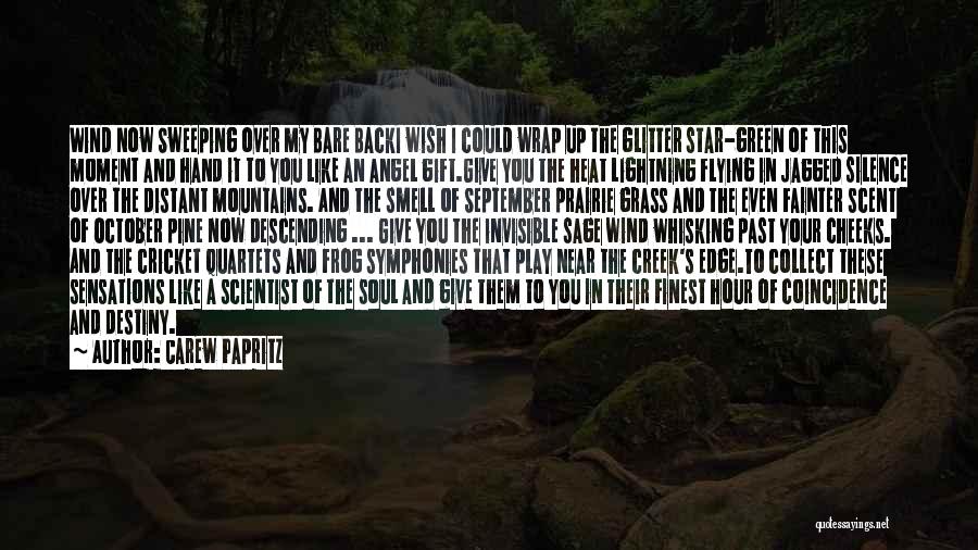 Green Frog Quotes By Carew Papritz