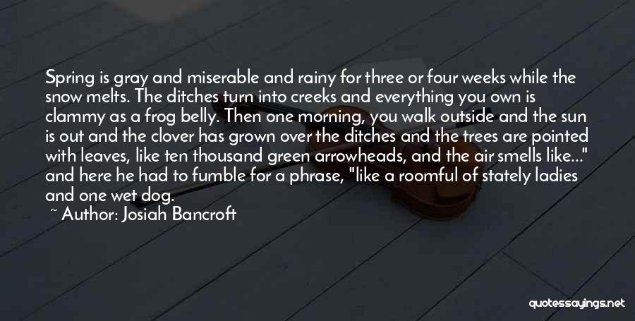 Green Frog Quotes By Josiah Bancroft