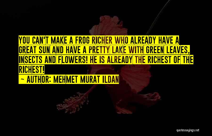 Green Frog Quotes By Mehmet Murat Ildan