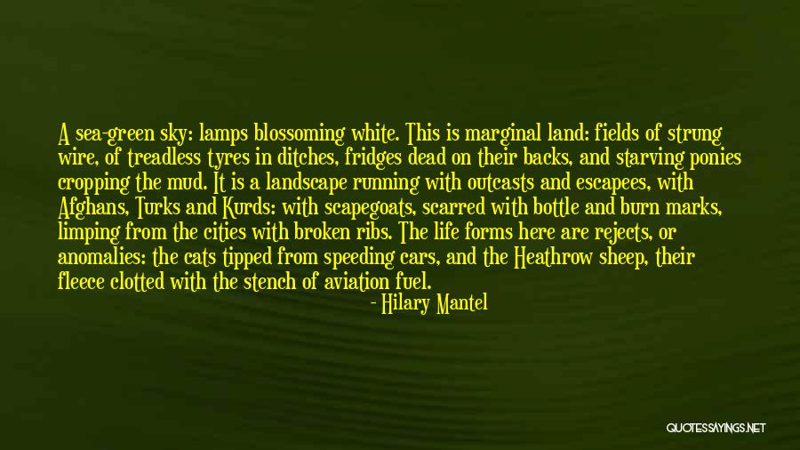 Green Fuel Quotes By Hilary Mantel