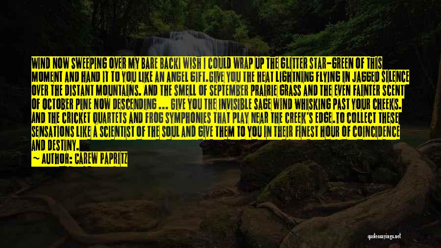 Green Grass Quotes By Carew Papritz