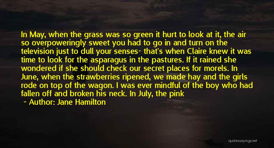 Green Grass Quotes By Jane Hamilton