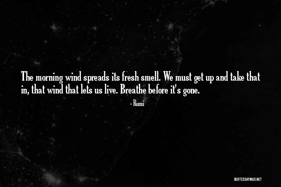 Green Hands Landscaping Quotes By Rumi Green Hands Landscaping Quotes By Rumi