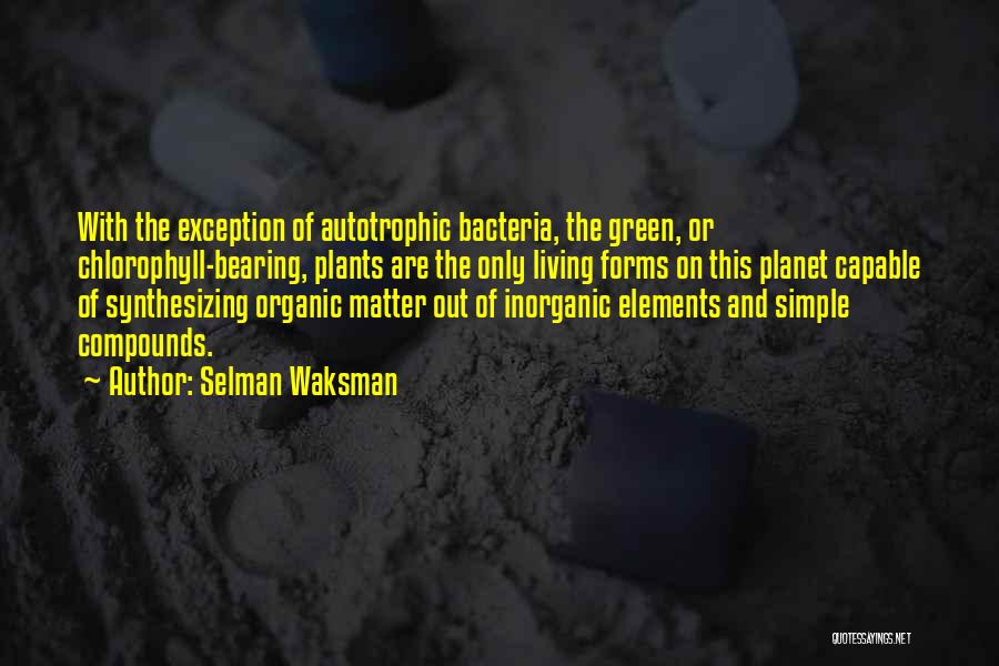 Green Living Quotes By Selman Waksman