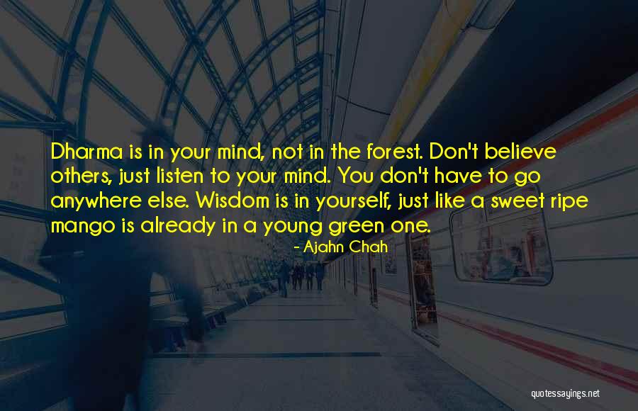 Green Mango Quotes By Ajahn Chah