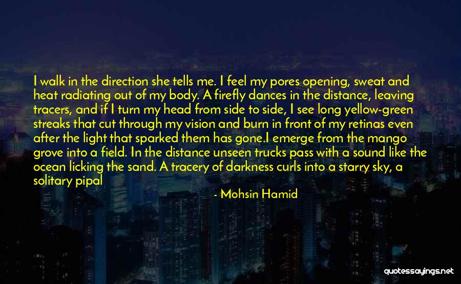 Green Mango Quotes By Mohsin Hamid Green Mango Quotes By Mohsin Hamid