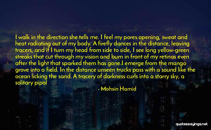 Green Mango Quotes By Mohsin Hamid