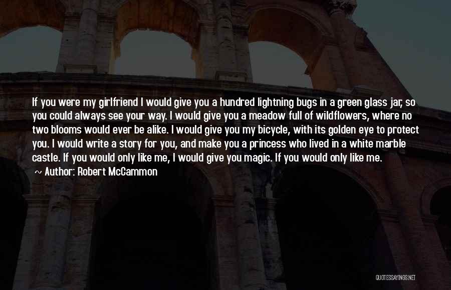 Green Meadow Quotes By Robert McCammon