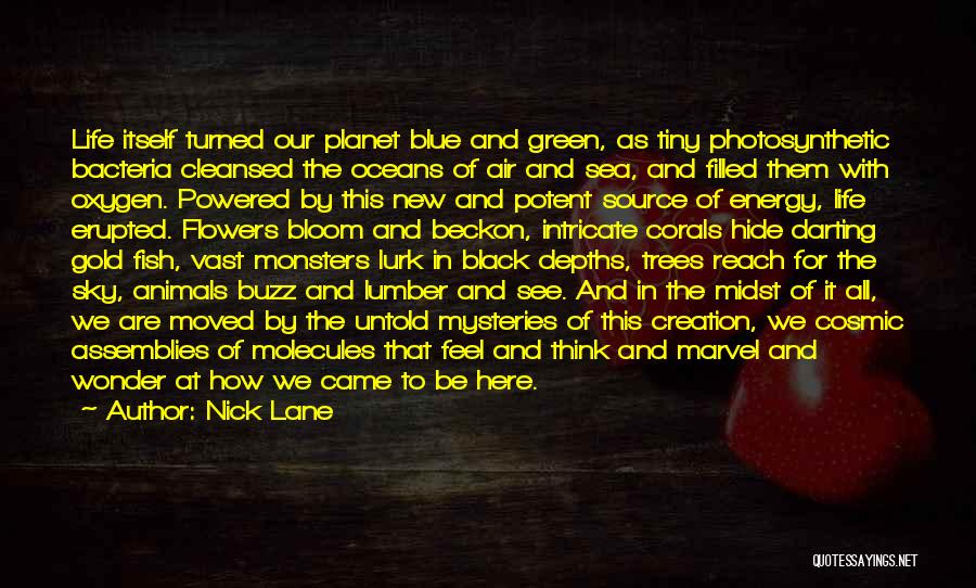 Green Planet Quotes By Nick Lane