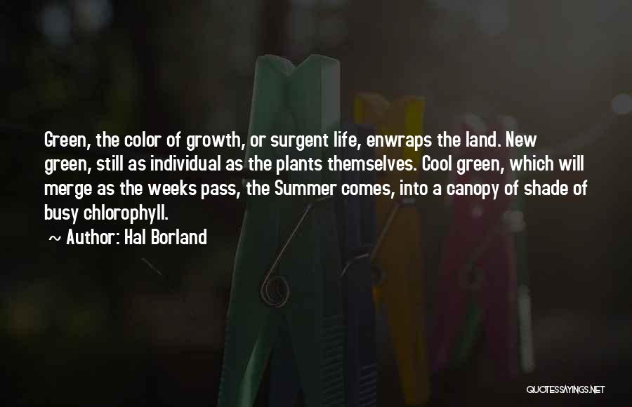 Green Plants Quotes By Hal Borland