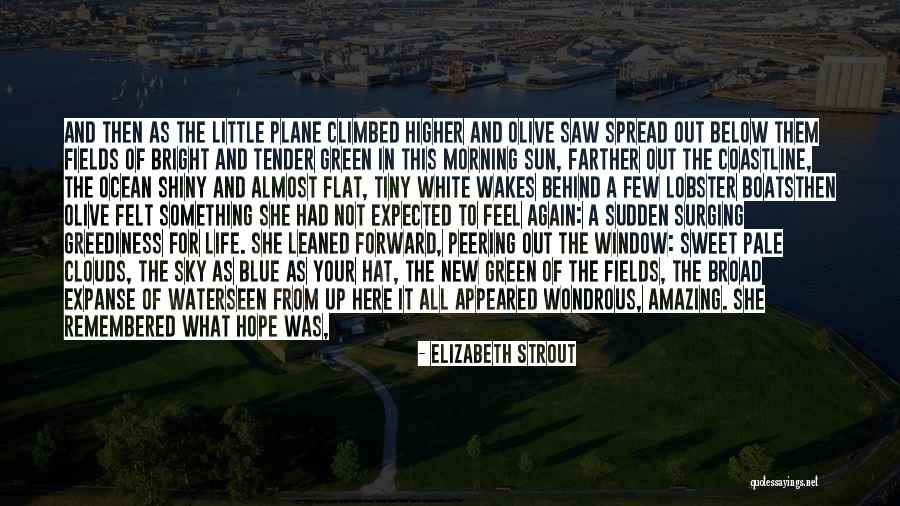 Green Sky Quotes By Elizabeth Strout Green Sky Quotes By Elizabeth Strout