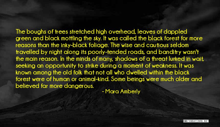 Green Sky Quotes By Mara Amberly Green Sky Quotes By Mara Amberly