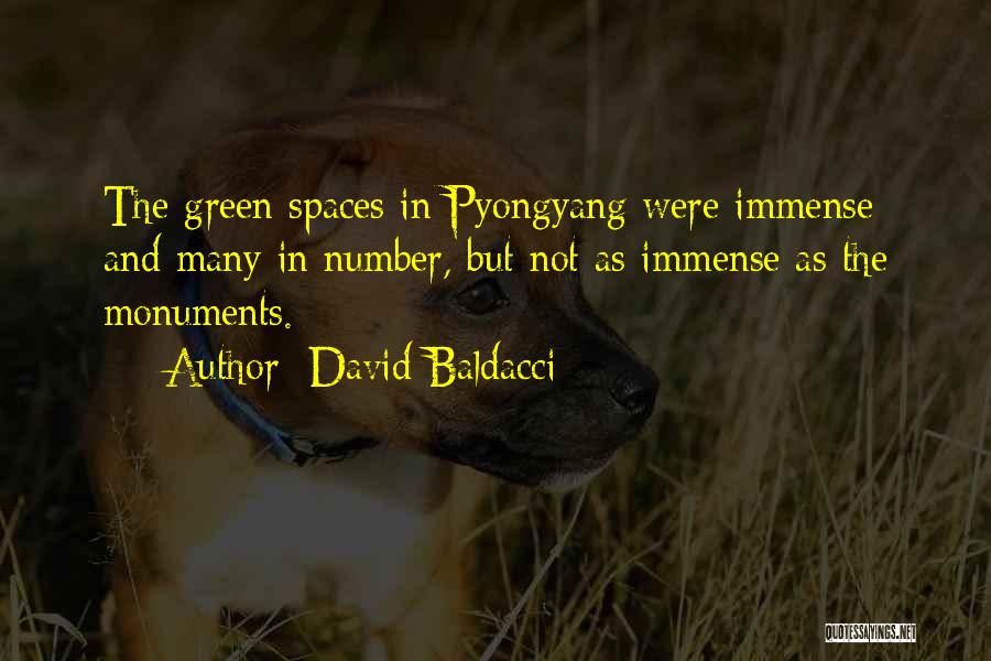 Green Spaces Quotes By David Baldacci