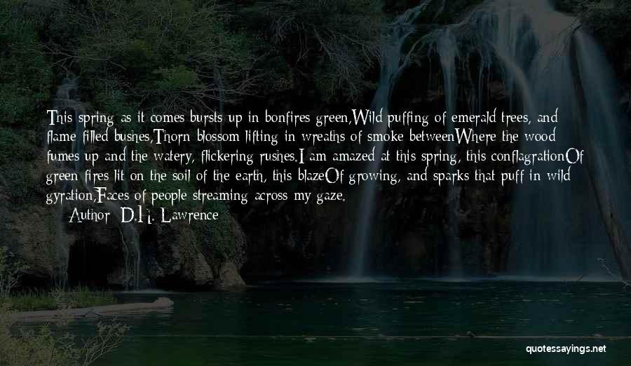Green Spring Quotes By D.H. Lawrence
