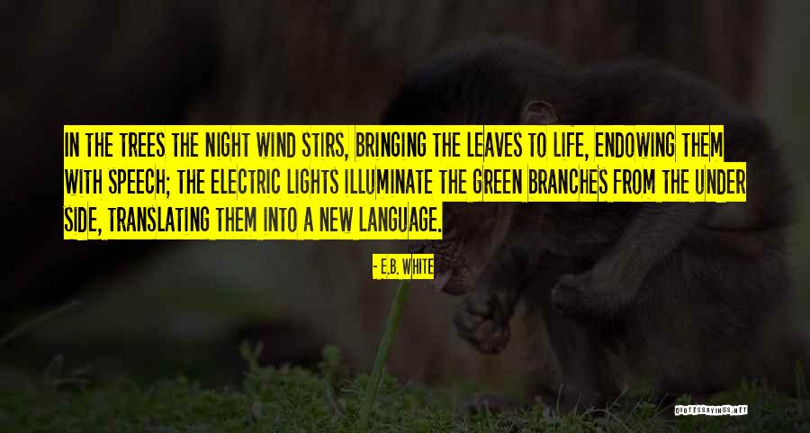 Green Trees Quotes By E.B. White Green Trees Quotes By E.B. White