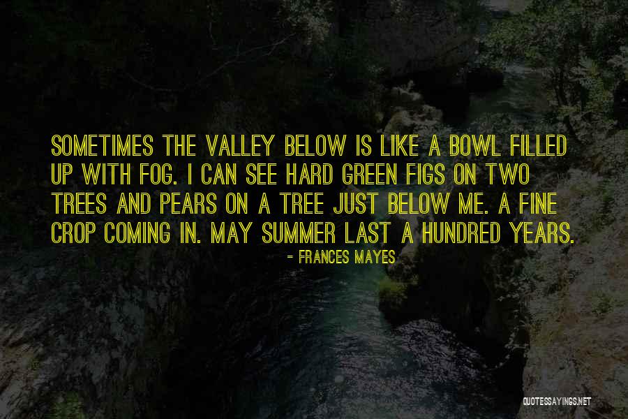 Green Trees Quotes By Frances Mayes Green Trees Quotes By Frances Mayes