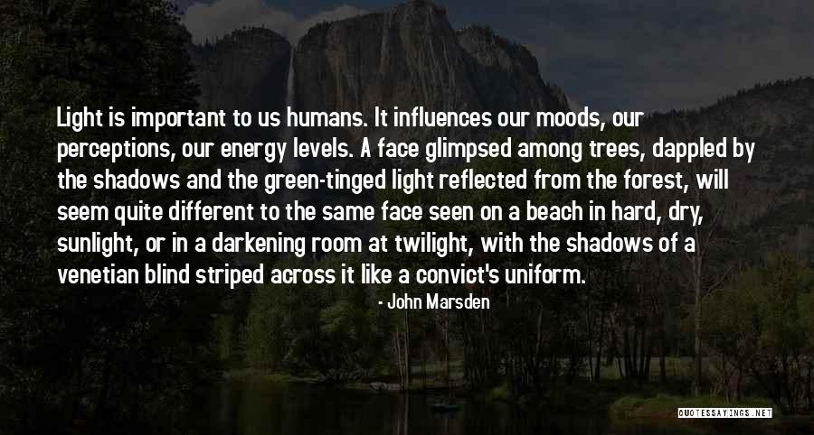 Green Trees Quotes By John Marsden Green Trees Quotes By John Marsden