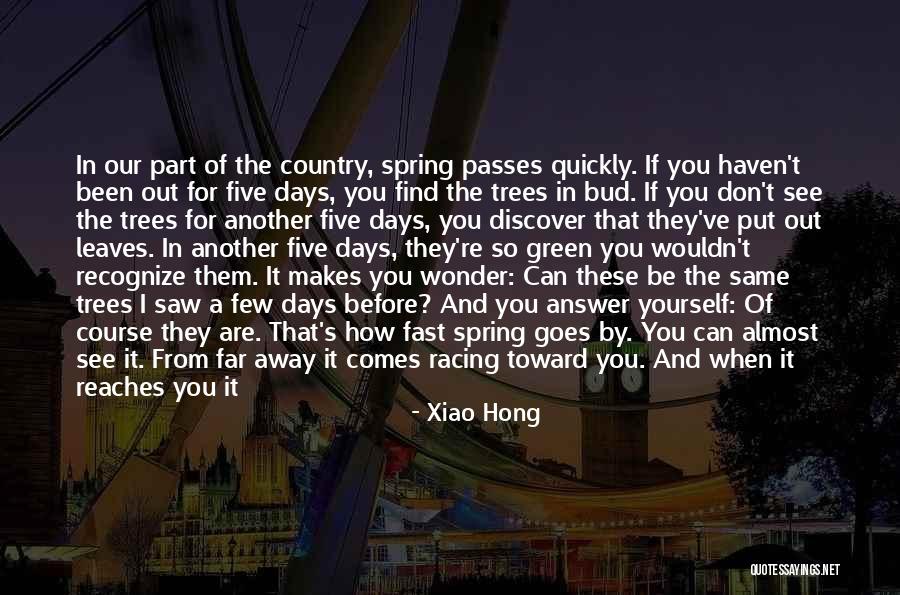 Green Trees Quotes By Xiao Hong Green Trees Quotes By Xiao Hong