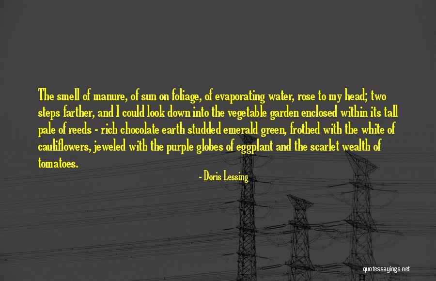 Green Vegetable Quotes By Doris Lessing Green Vegetable Quotes By Doris Lessing