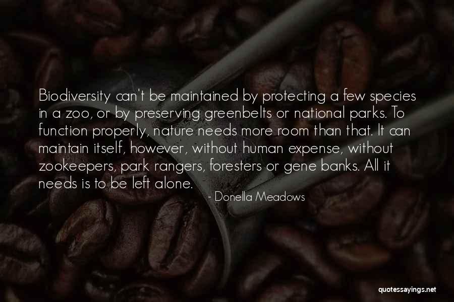 Greenbelts Quotes By Donella Meadows Greenbelts Quotes By Donella Meadows