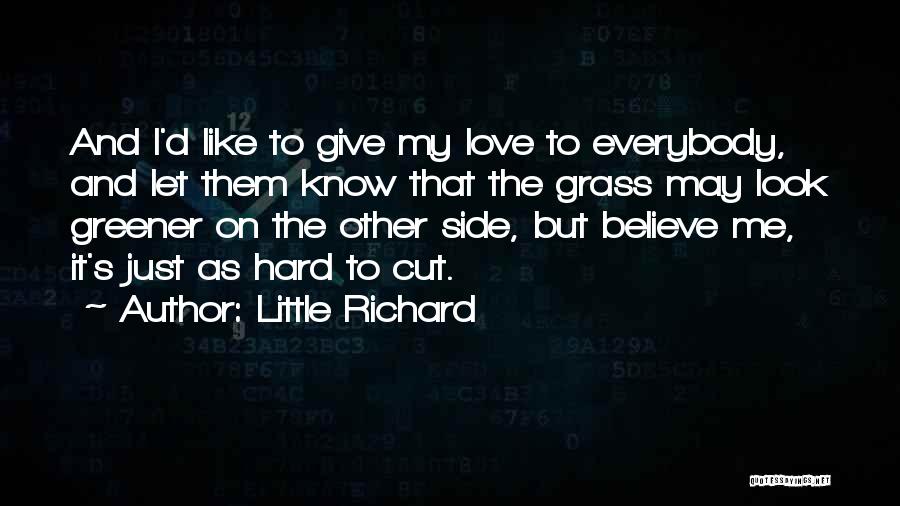 Greener Grass On The Other Side Quotes By Little Richard