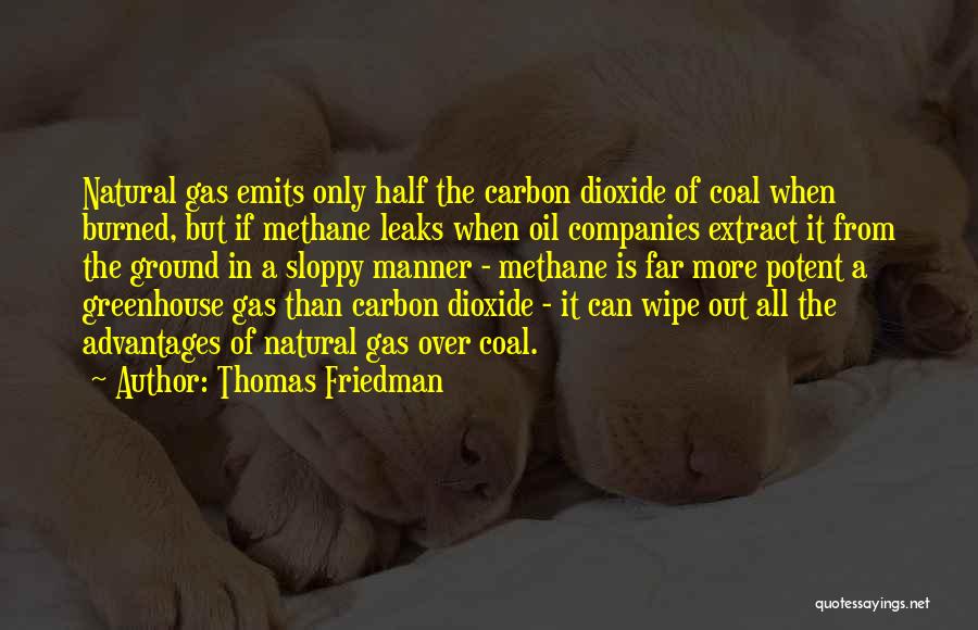 Greenhouse Gas Quotes By Thomas Friedman