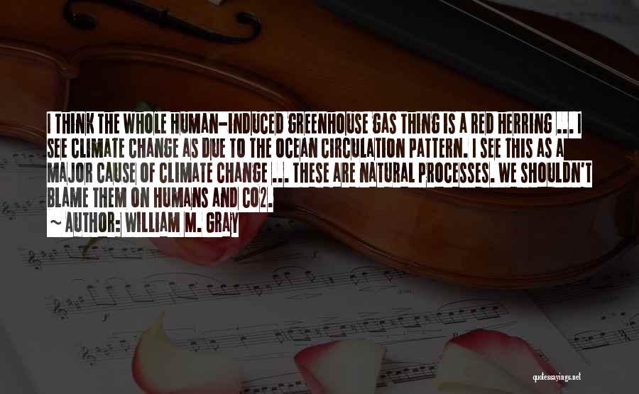 Greenhouse Gas Quotes By William M. Gray