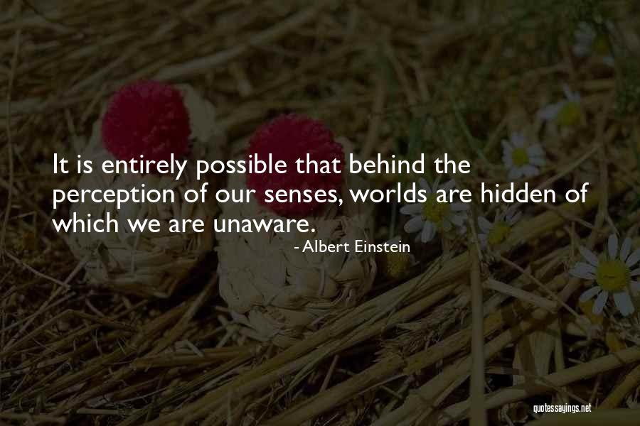 Greenmantle Forest Quotes By Albert Einstein Greenmantle Forest Quotes By Albert Einstein