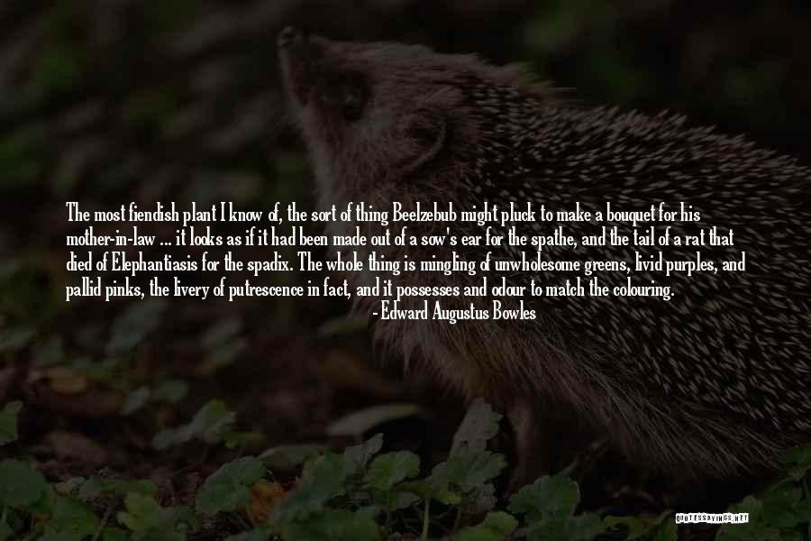 Greens Quotes By Edward Augustus Bowles Greens Quotes By Edward Augustus Bowles